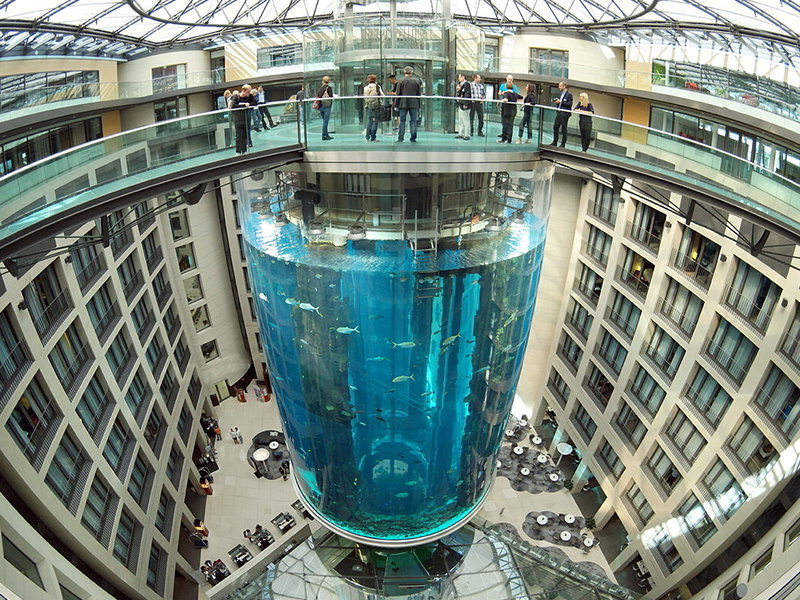 El ascensor del lujoso hotel de berlin dentro de un acuario. AquaDom